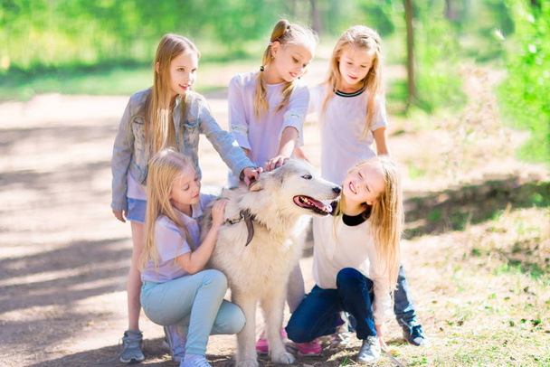 Un grupo de 5 chicas rodearon a un perro en el bosque
. - Foto, imagen