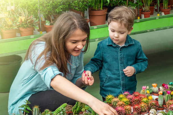 Мама і її хлопчик в рослинній майстерні дивлячись на Кактуси. Садівництво в теплиці. Ботанічний сад, квітництво - Фото, зображення