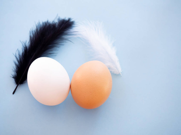 Dwóch różnych kolorowych jaj z czarno-białych piór na pastelowe niebieskie tło - Zdjęcie, obraz