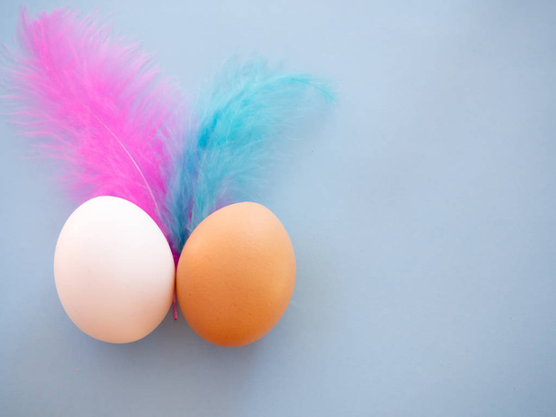 Dos huevos de diferentes colores con plumas rosadas y azules sobre un fondo azul pastel
 - Foto, imagen