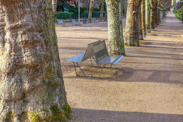Bench in Botanical garden in Paris  - Fotó, kép