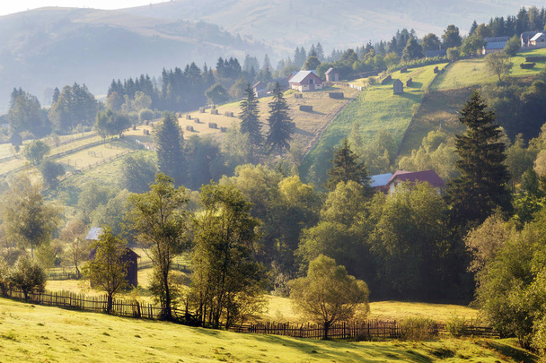 Paesaggio rurale estivo in Romania
 - Foto, immagini