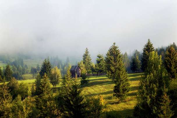Літній пейзаж у румунського села - Фото, зображення