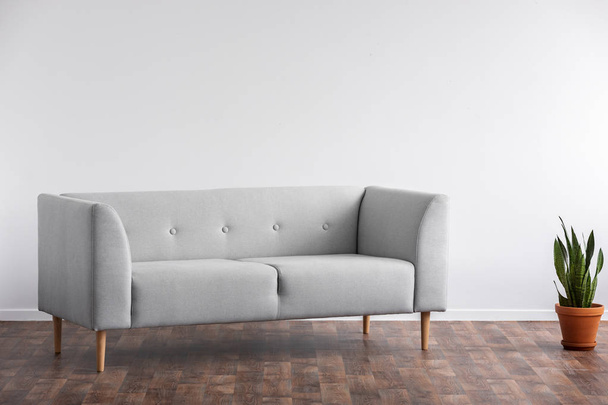 Grey sofa next to plant on wooden floor in minimal living room interior with copy space. Real photo - Fotografie, Obrázek