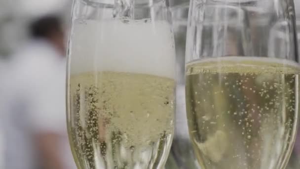 Pour szampana zwolnionym tempie z Christmas lights i flary - Materiał filmowy, wideo