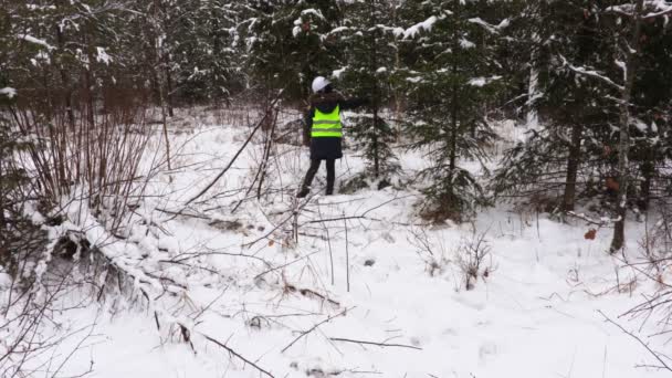 Vrouwelijke bosbouw werknemer wandelen in besneeuwde woud - Video
