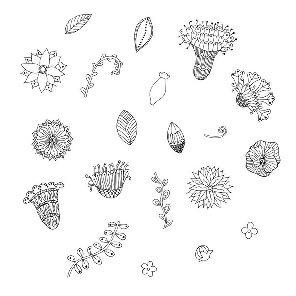 Hand drawn flower doodle set. Monochrome flowers, leaves, swirls stock vector illustration for web, for print - Vector, Image