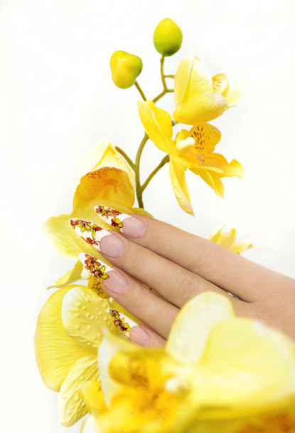 Long French manicure. - 写真・画像