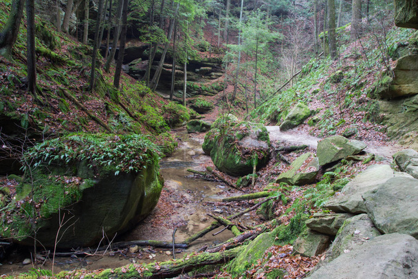 Мистический лесной пейзаж. Природный заповедник Конклс-Холлоу в живописном районе Хокинг-Хиллз Логан, штат Огайо
. - Фото, изображение