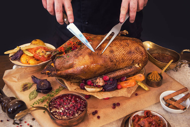 Roasted goose with herbs berries and vegetables - 写真・画像