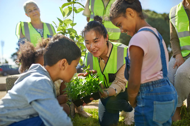 Des bénévoles femmes et enfants plantent des herbes dans un parc ensoleillé
 - Photo, image