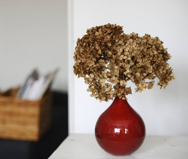 hortênsia seca em um vaso vermelho em uma mesa
 - Foto, Imagem