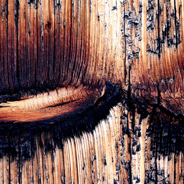 Fond en bois naturel - Photo, image