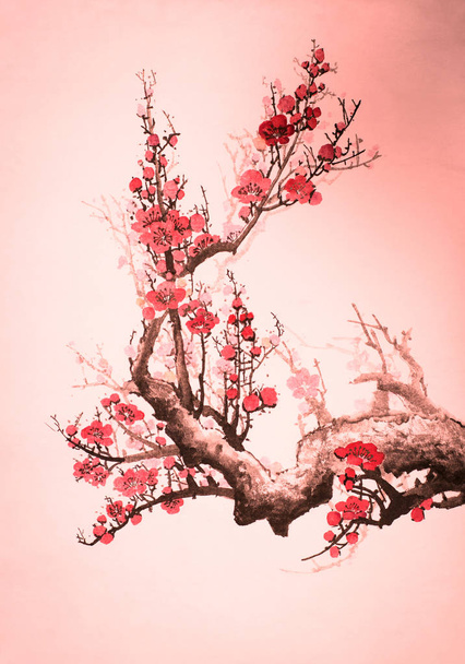 flowering branch of plum - Фото, изображение