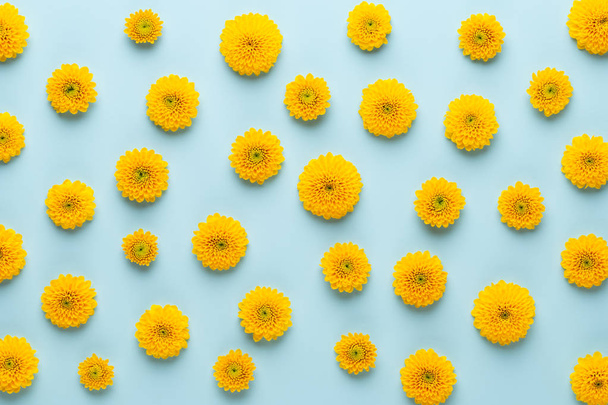 Yellow flower pattern on a yellow background.  Spring greeting c - Photo, Image