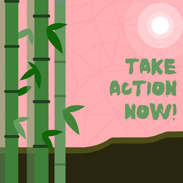 Escrevendo nota mostrando Take Action Now. Foto de negócios mostrando Urgent Move Start Promptly Immediate Begin
. - Foto, Imagem