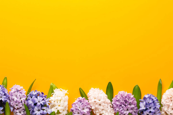 Flowers composition with hyacinths. Spring flowers on color back - Foto, Imagen