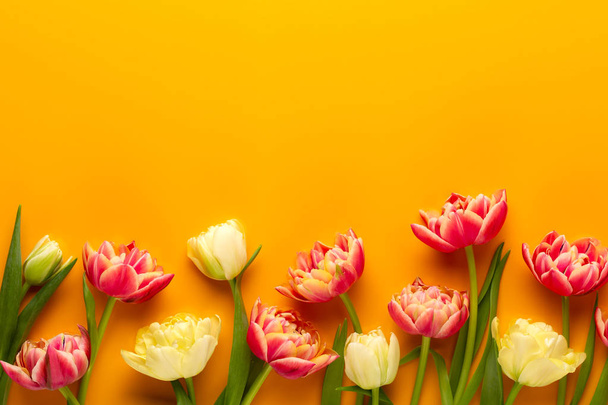 Spring flowers, tulips on pastel colors background. Retro vintag - Φωτογραφία, εικόνα