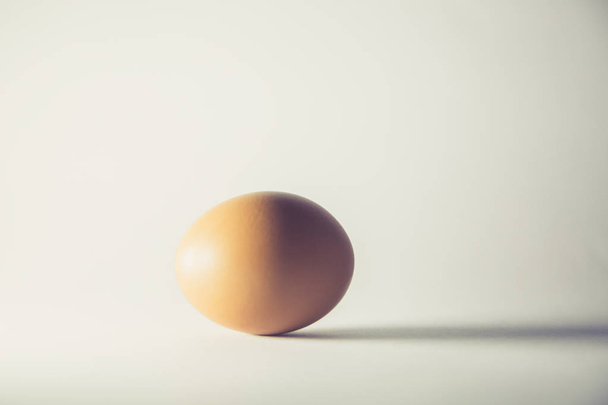 Single brown egg isolated from white background. Concept - Fotó, kép