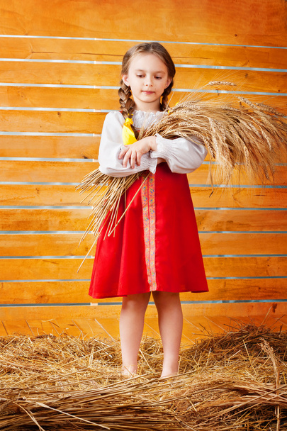 Girl holding ears of wheat - Valokuva, kuva