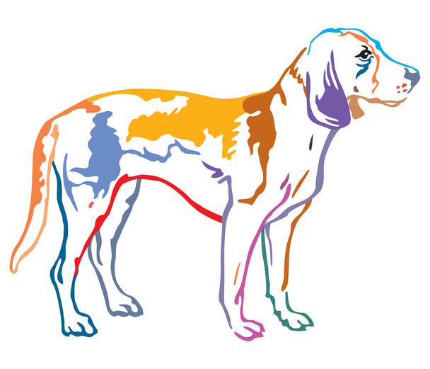 Kleurrijke decoratieve portret van de Estse Hound Dog vector illust - Vector, afbeelding