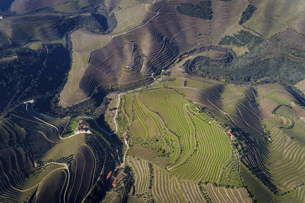 Luchtfoto van de terrasvormige wijngaarden in het Douro Valley in de buurt van het dorp van Pinhao, Portugal; Concept voor reizen in Portugal en mooiste plaatsen in Portugal - Foto, afbeelding