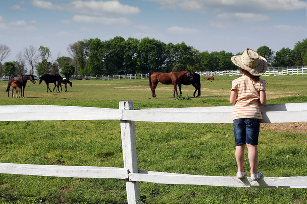 child standing on the corral and watching horses - Фото, зображення