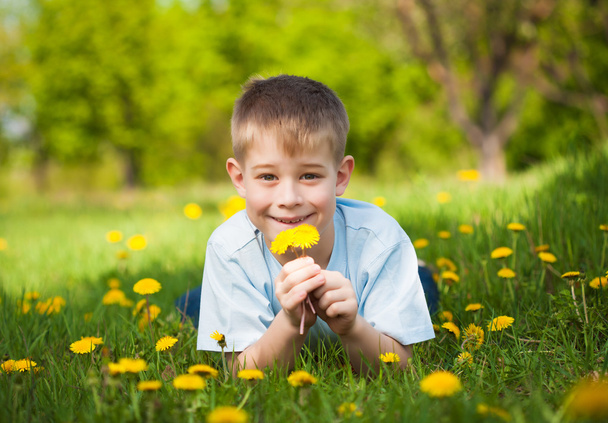 Cute boy with dandelions in a green park. summer - Fotoğraf, Görsel