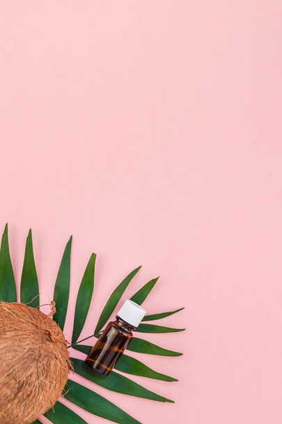 Palm leaves and coconuts on pink pastel background - Фото, изображение
