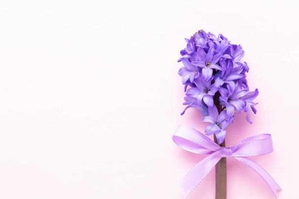 Flowers composition with hyacinths. Spring flowers on color back - Foto, afbeelding