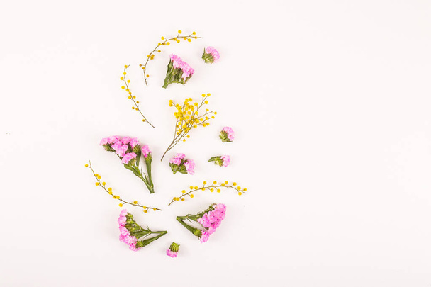 Flowers on a white background - hello spring and hello summer - Photo, Image