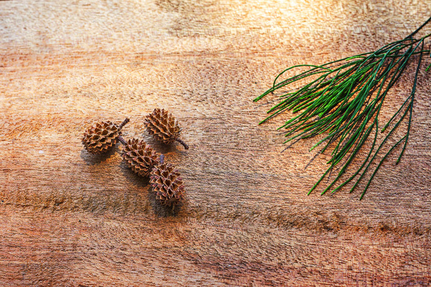 Pine cones and pine leaves on wooden floors, copy space, background. - Photo, Image
