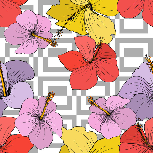 Vector Hibiscus flores tropicales florales. Tinta grabada sobre fondo blanco. Patrón de fondo sin costuras
. - Vector, Imagen