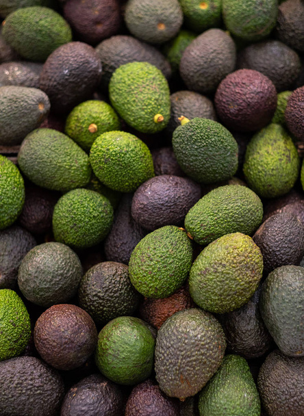 Типичный рынок киоск продажи фруктов авокадо для туристов в Марракеше
 - Фото, изображение