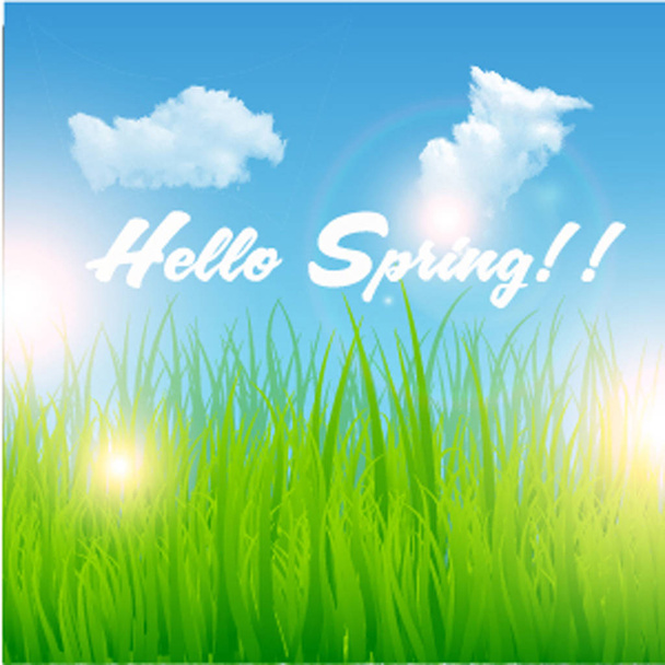 Stampa Hello Spring Sfondo con erba verde
 - Vettoriali, immagini