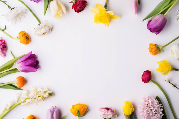 Various spring flowers on a white background. Copy space. - Fotó, kép