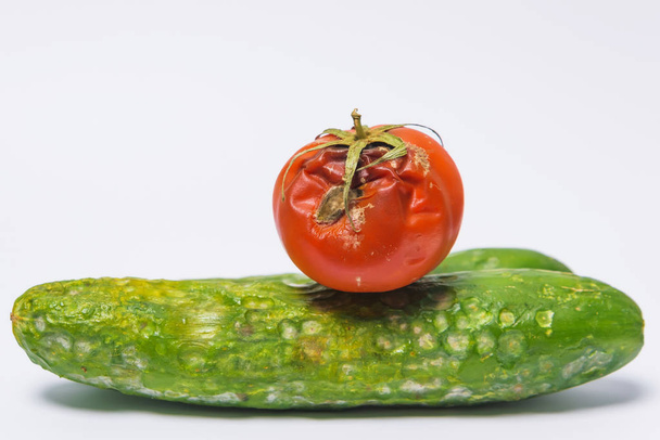 Salatalık ve domates hastalıkları. Beyaz bir arka planda kalıp ile şımarık salatalık ve domates. Tarımsal ekolojik tehdit. Sebzelerin uygunsuz depolanması. Şımarık gıda. - Fotoğraf, Görsel