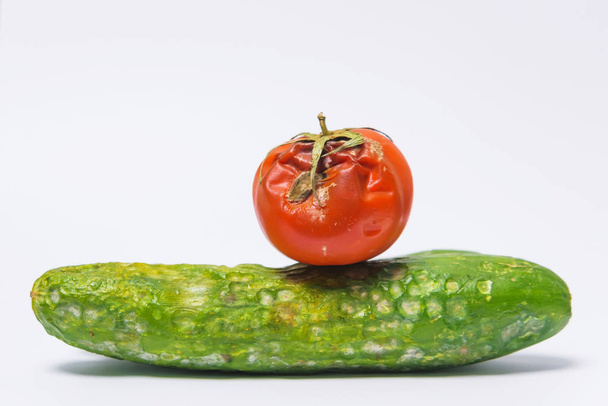 Salatalık ve domates hastalıkları. Beyaz bir arka planda kalıp ile şımarık salatalık ve domates. Tarımsal ekolojik tehdit. Sebzelerin uygunsuz depolanması. Şımarık gıda. - Fotoğraf, Görsel