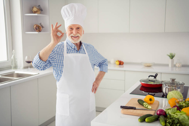 Close up photo grey haired he his him grandpa arm hand fingers okey symbol advising utensils tested deal done wear baker chefs costume casual checkered plaid shirt jeans denim outfit kitchen - Foto, Bild