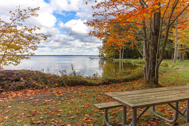 Michigan národní les na podzim. Slunečný podzim den na břehu jezera Brevort v Hiawatha národním lese horní poloostrově Michigan. - Fotografie, Obrázek