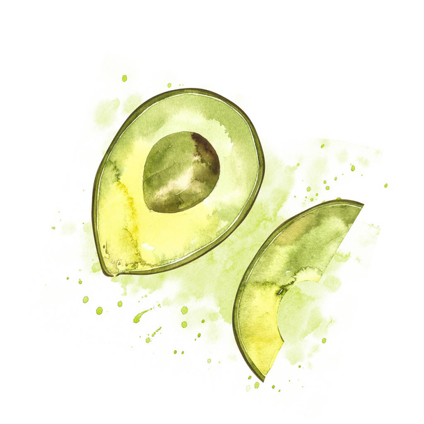 Avocado Aquarell Zeichnung Illustration isoliert auf weißem Hintergrund. - Foto, Bild