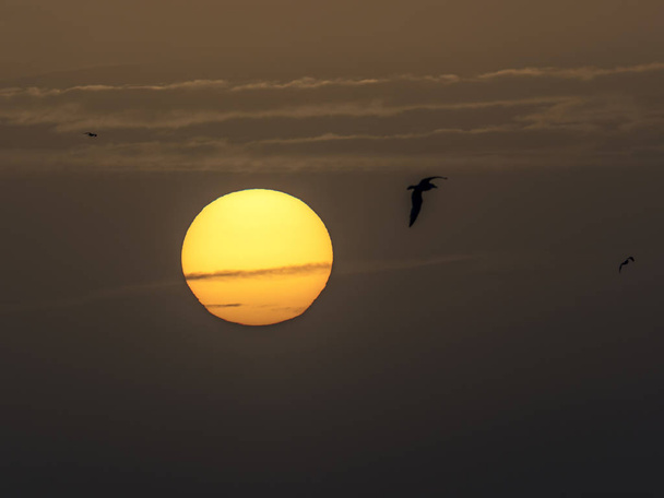 Зимове сонцестояння захід сонця
 - Фото, зображення