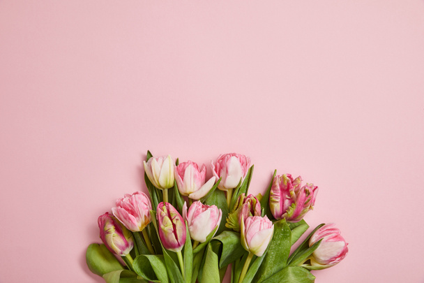 szép rózsaszín tulipán, zöld levelekkel, rózsaszín háttér, felülnézet - Fotó, kép