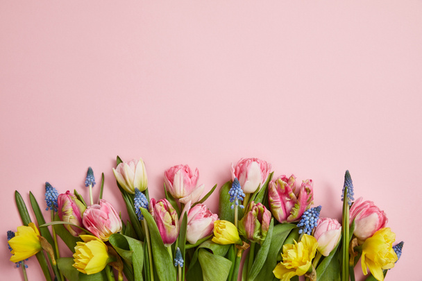 top view of beautiful pink tulips, blue hyacinths and yellow narcissus flowers on pink background - Photo, Image