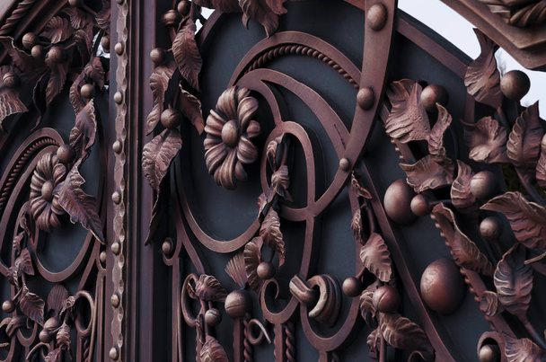 Dekoratif dövme metal kapılar güzel unsurları - Fotoğraf, Görsel