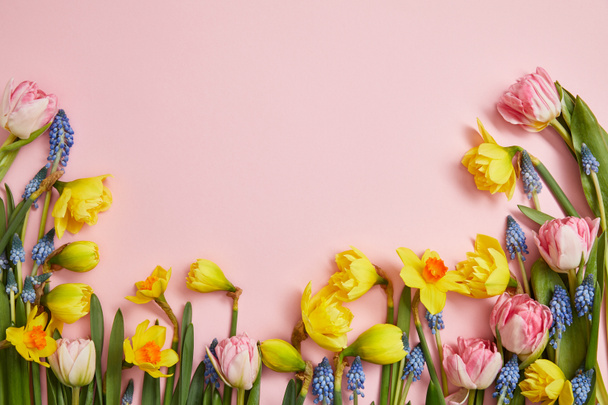 vista superior de tulipanes rosados frescos, jacintos azules y narcisos amarillos sobre fondo rosado
 - Foto, imagen