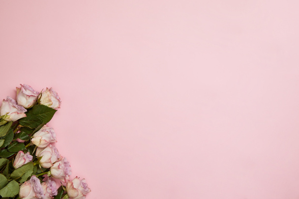 Draufsicht auf schöne rosa Rosen mit grünen Blättern auf rosa Hintergrund mit Kopierraum - Foto, Bild