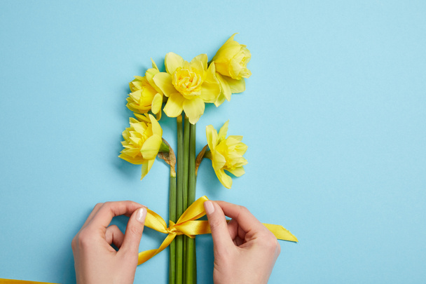 cropped view of woman tying bouquet of yellow narcissus flowers with yellow ribbon on blue  - Фото, зображення