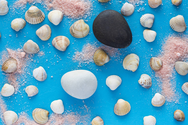 Zomer achtergrond, zeeschelpen op blauwe ondergrond met zee stenen, bovenaanzicht - Foto, afbeelding