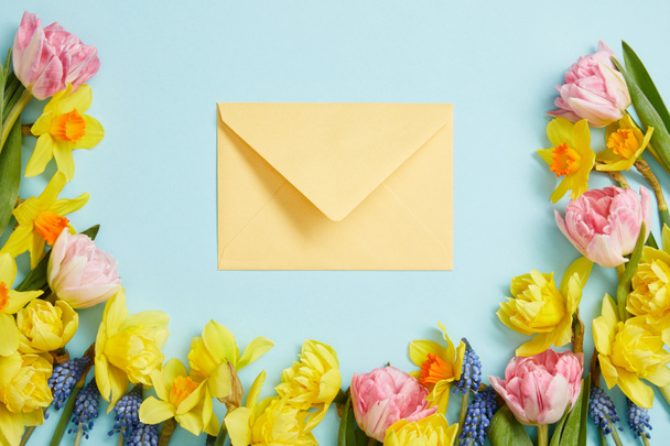 top view of pink tulips, yellow narcissus, blue hyacinths, and yellow envelope on blue  - Foto, Bild